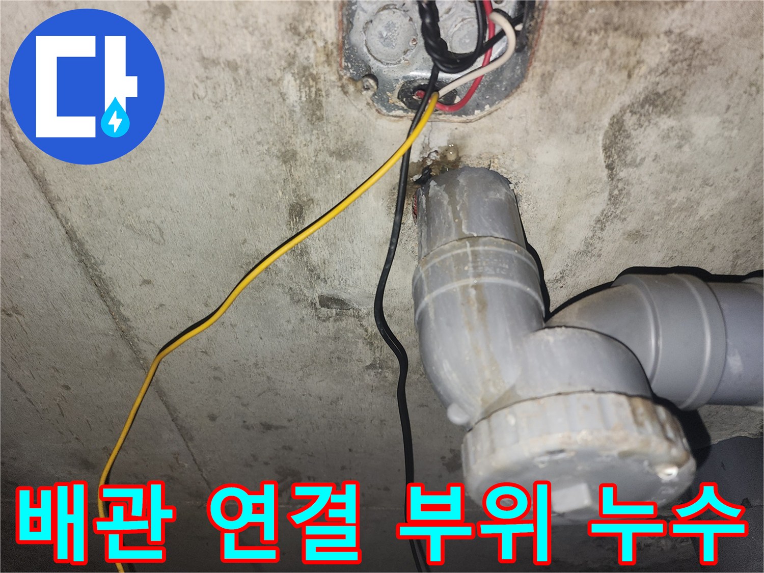 화장실 천장 하수구-연결 부속 사이 물샘 확인