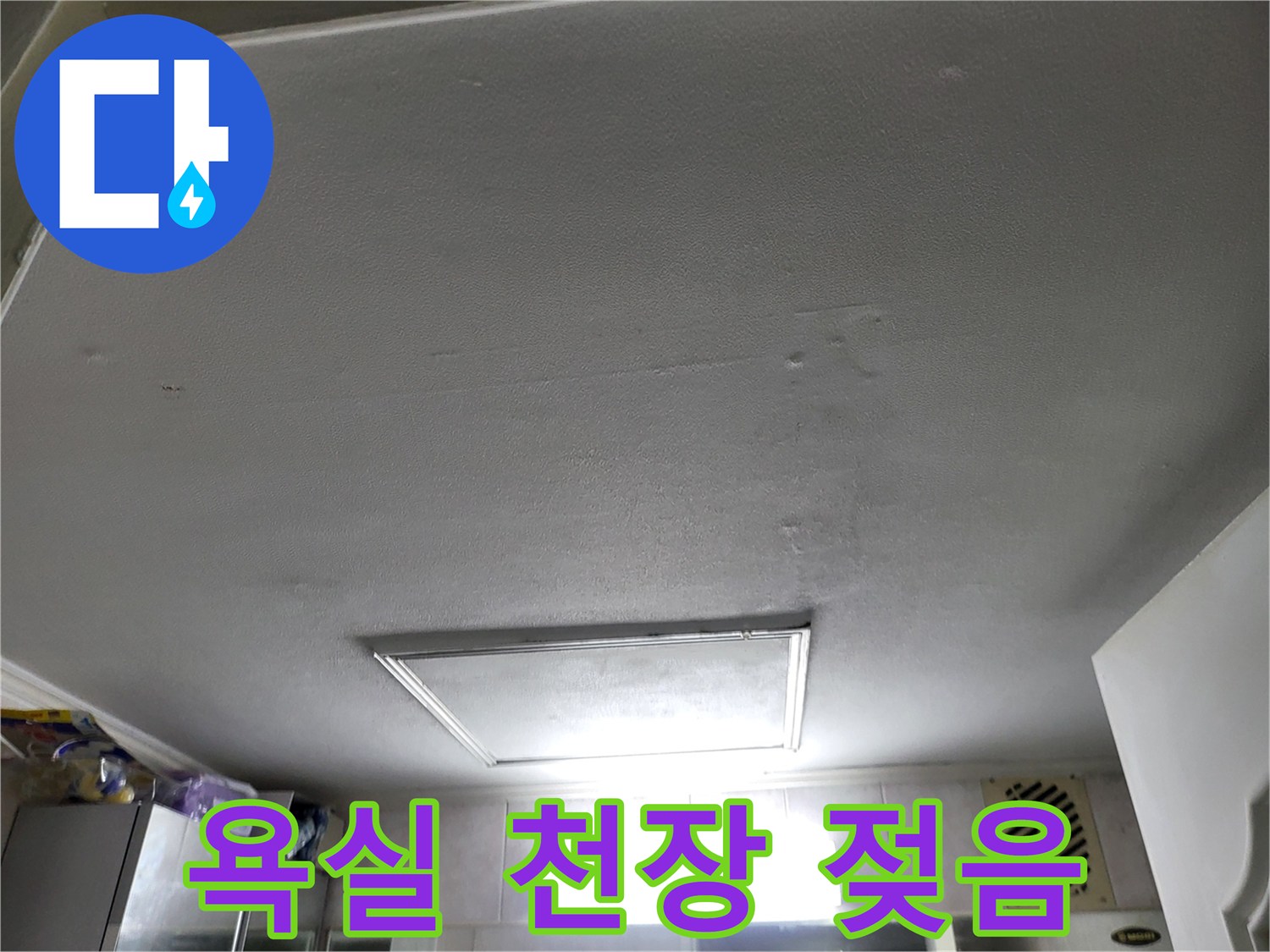 일산동구 화장실-천장재의 습기 번짐 현상