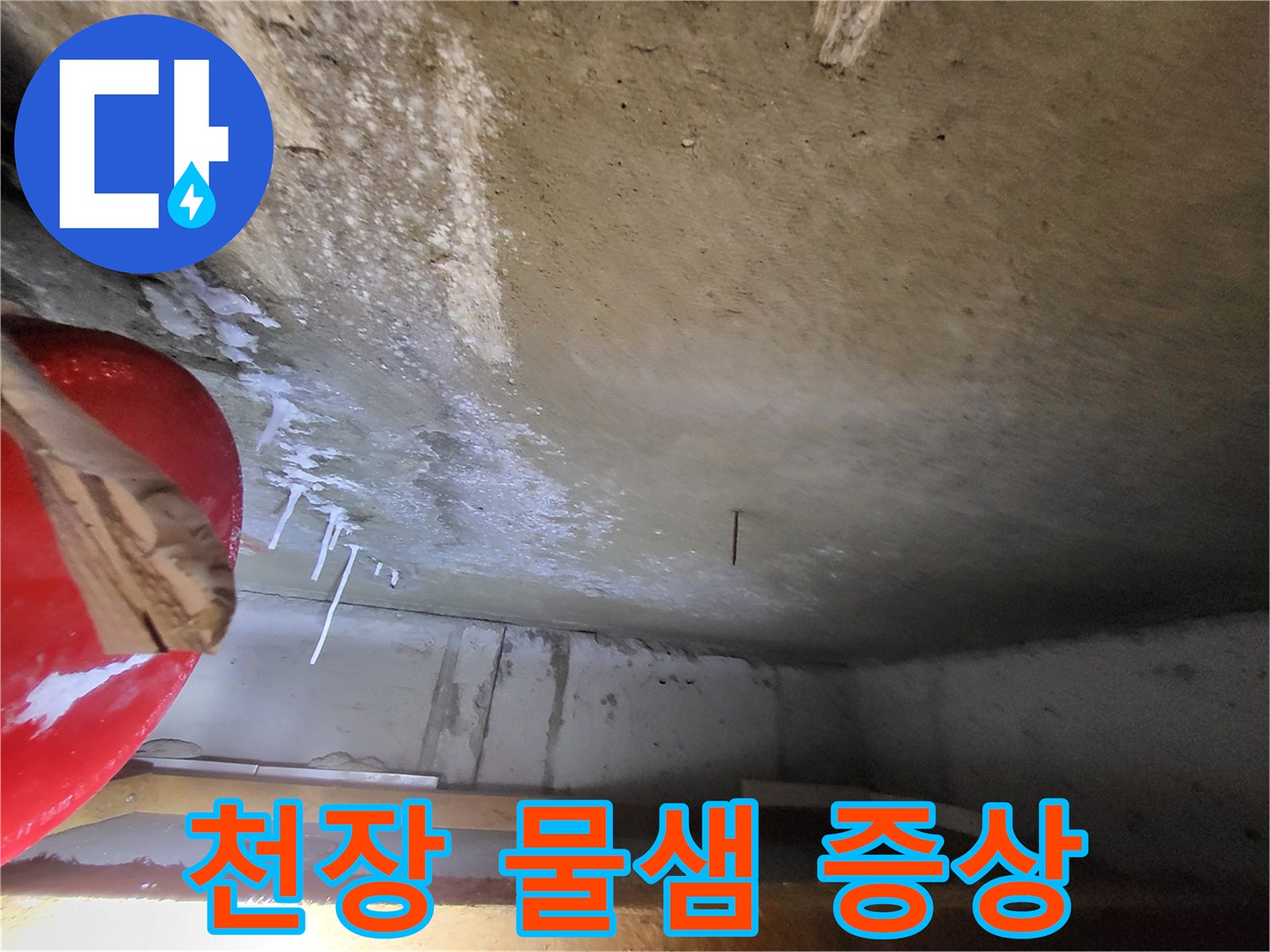중산동-화장실-천장-콘크리트-백화-현상-사진