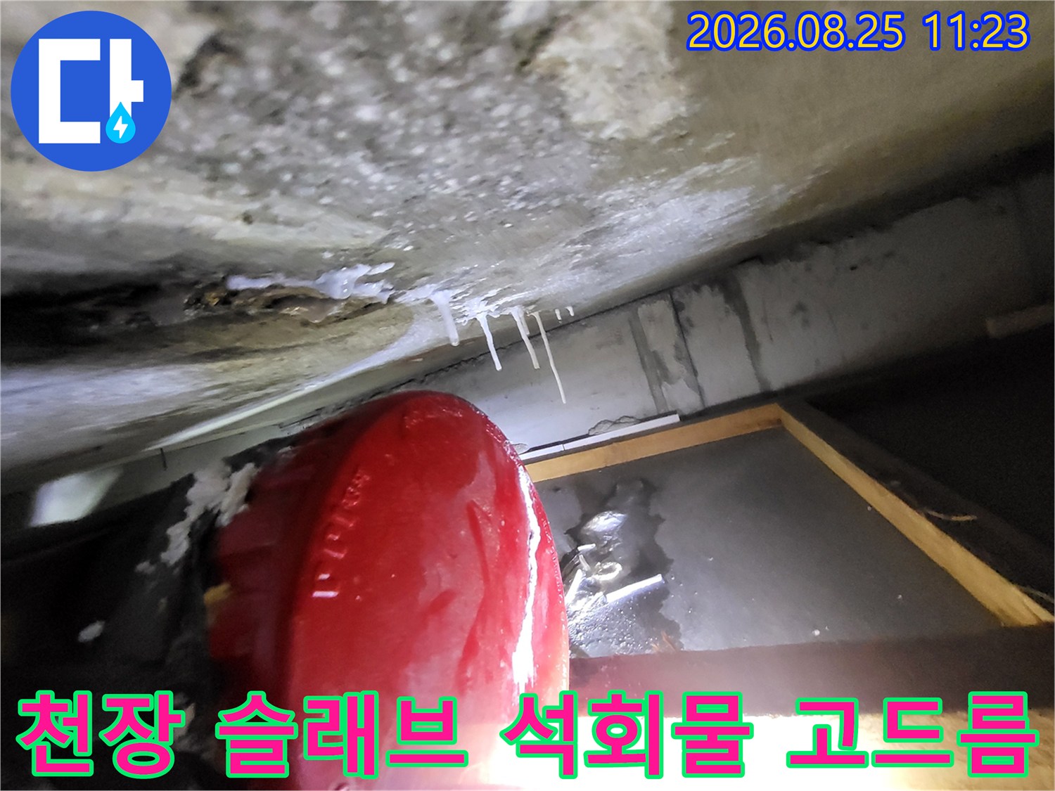 콘크리트 천장 하부-하얗게 맺힌 석회 자국
