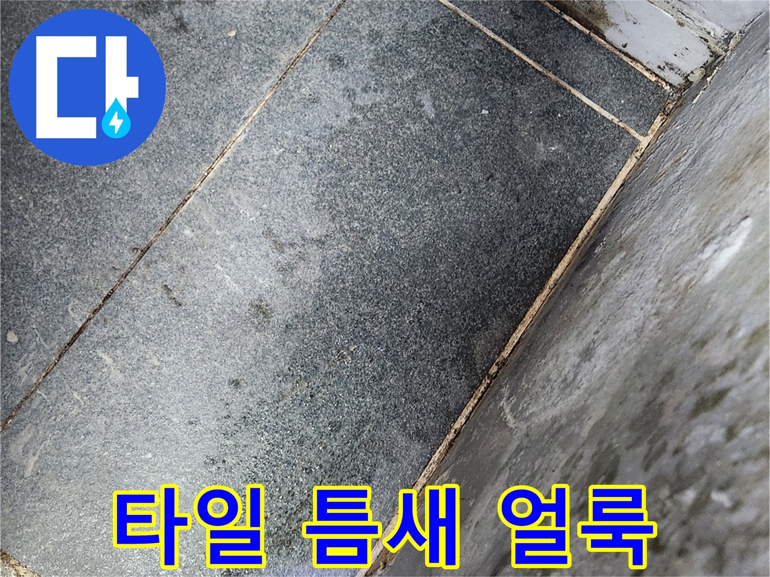 건물-내부-타일-사이-습기-및-오염-상태