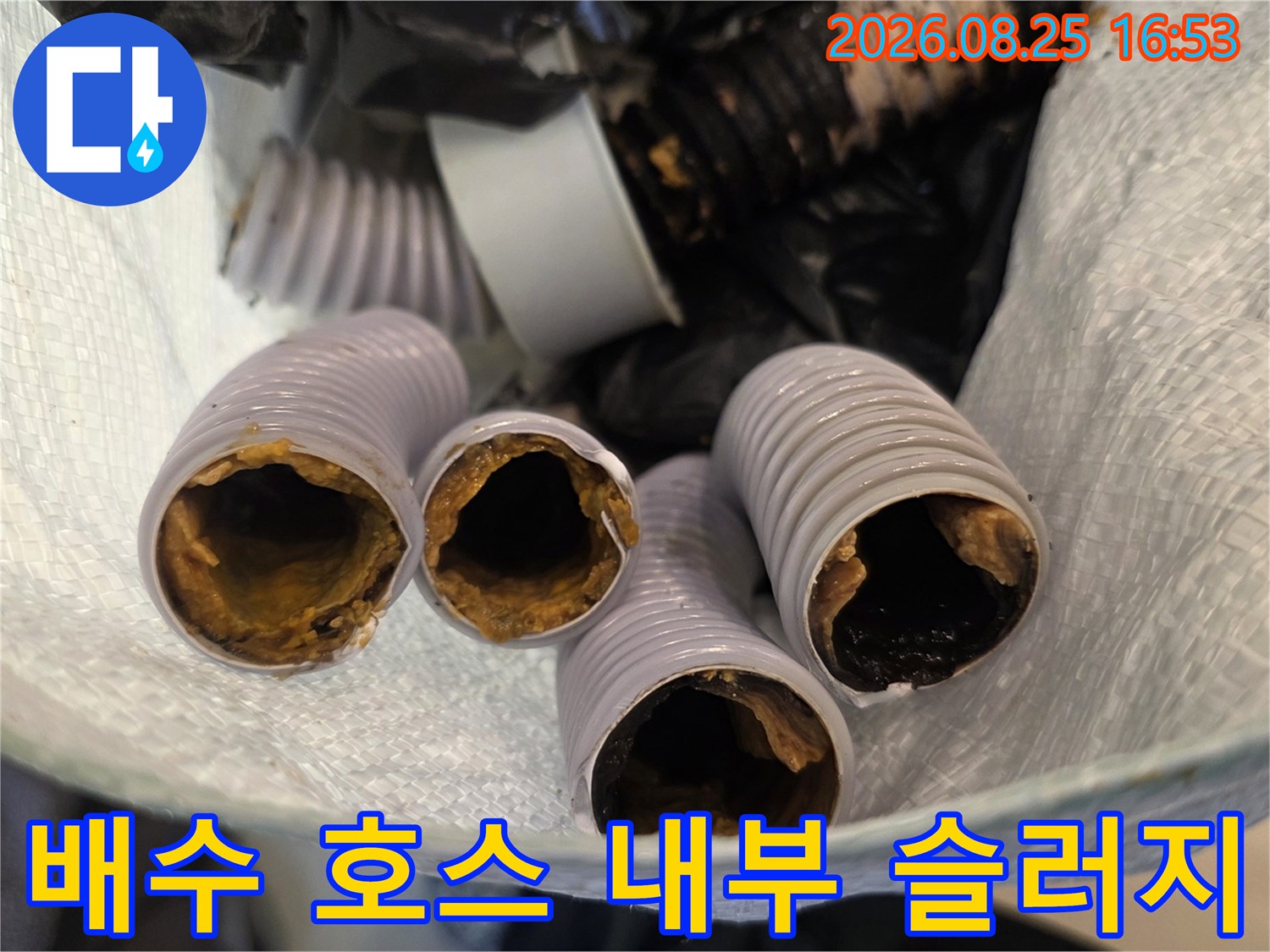 이물질로 꽉 막힌 배수 호스 단면 사진