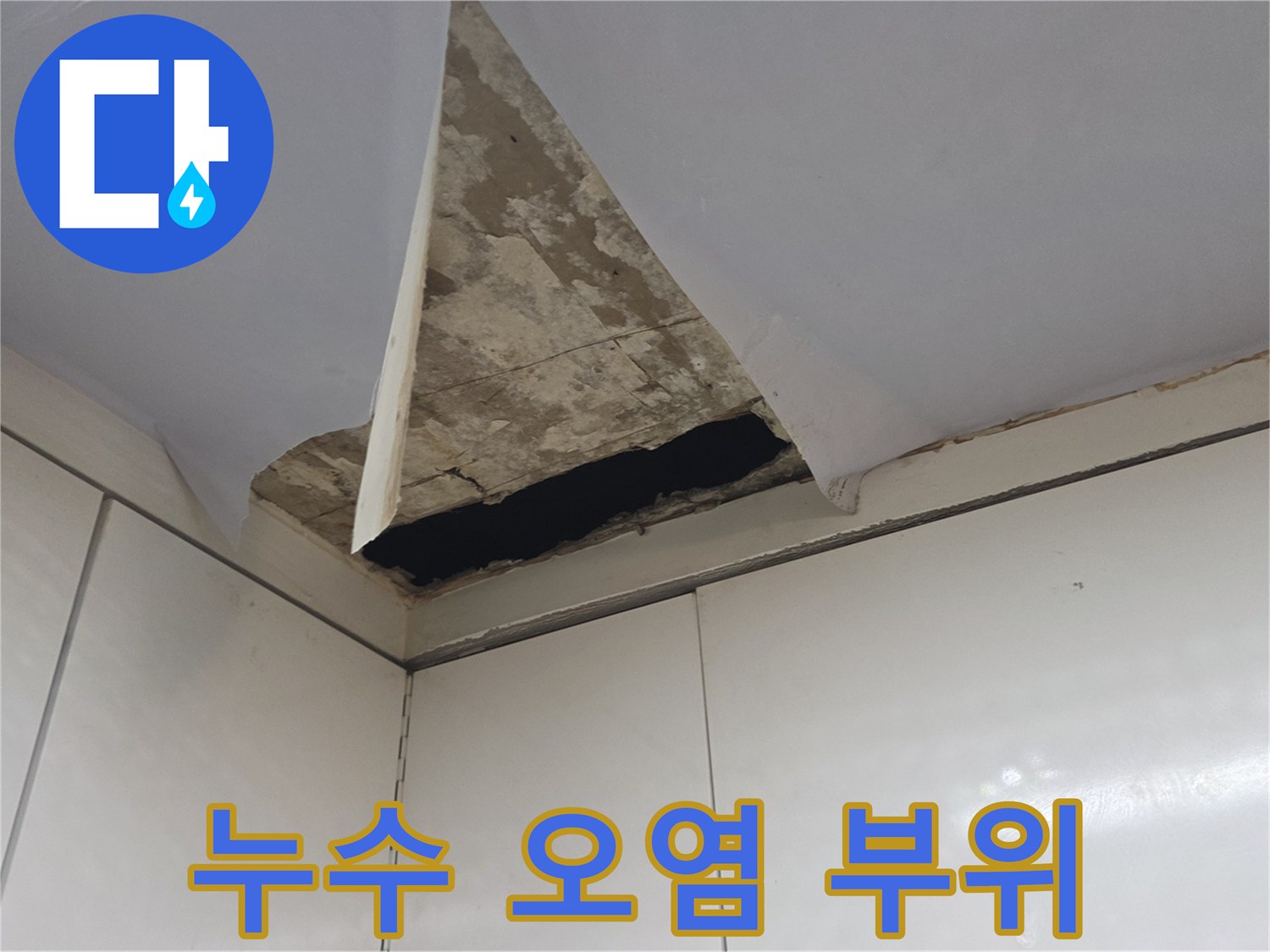 주방-천장-틈새-사이의-심한-오염물질