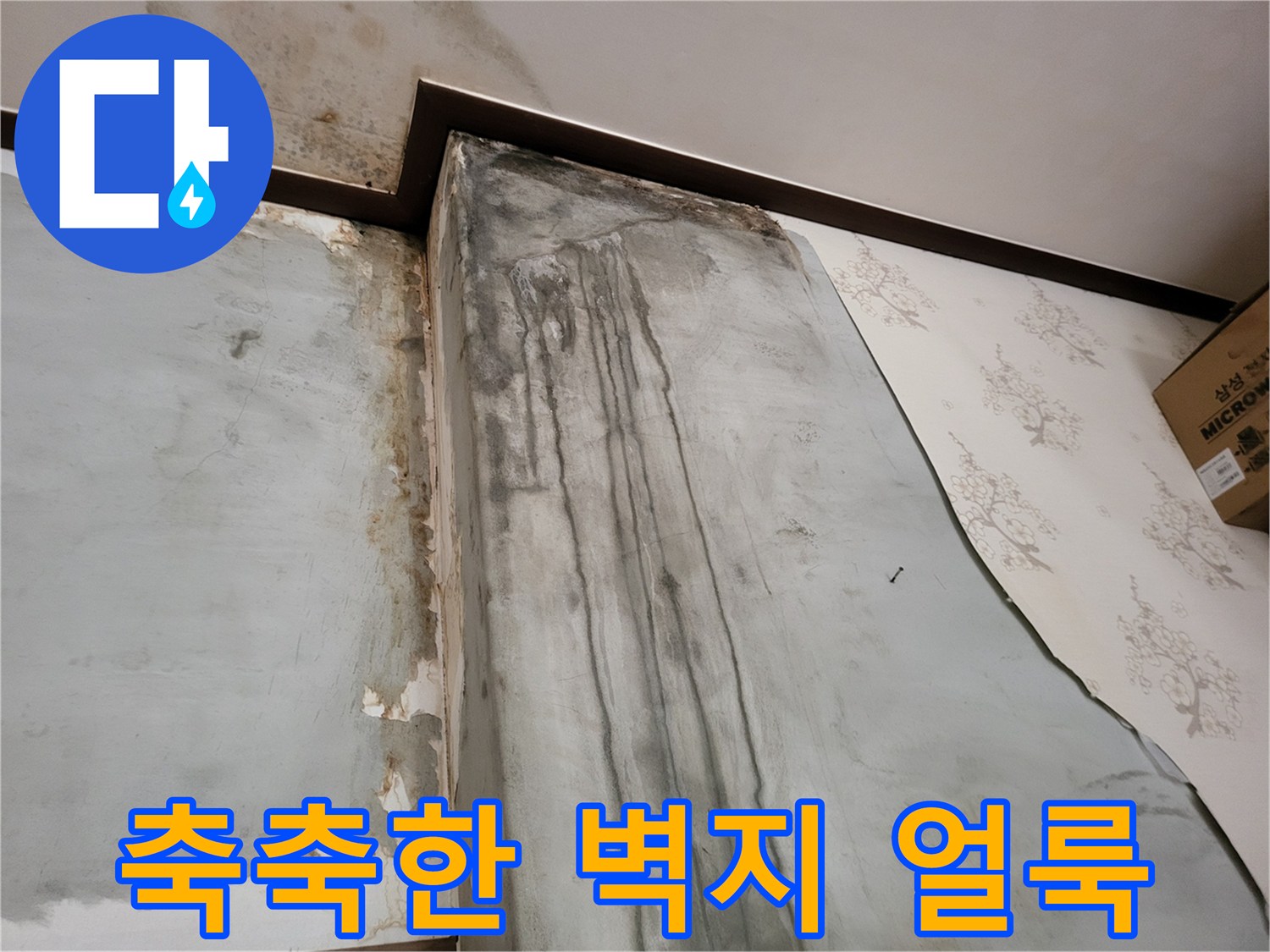 물샘으로 인해 변색된 벽지의 하단 부위