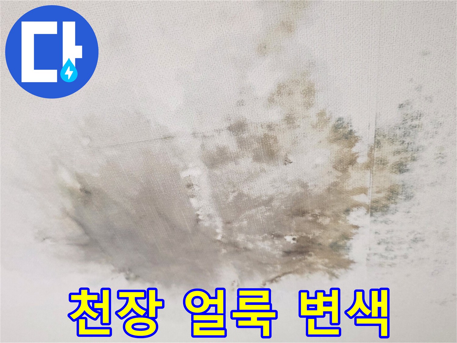 천장 누수-넓은 범위의 습기 침투 흔적