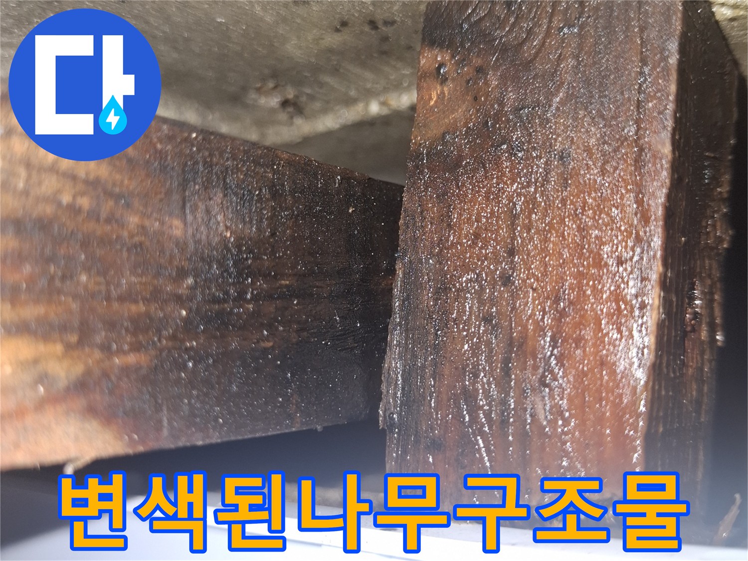 습기-침투로-어둡게-오염된-목재-부위
