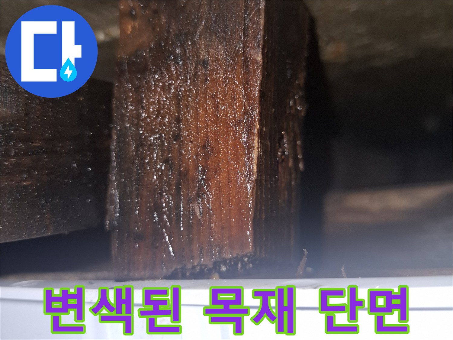 싱크대-하부-목재-습기-침투로-인한-변색-사진