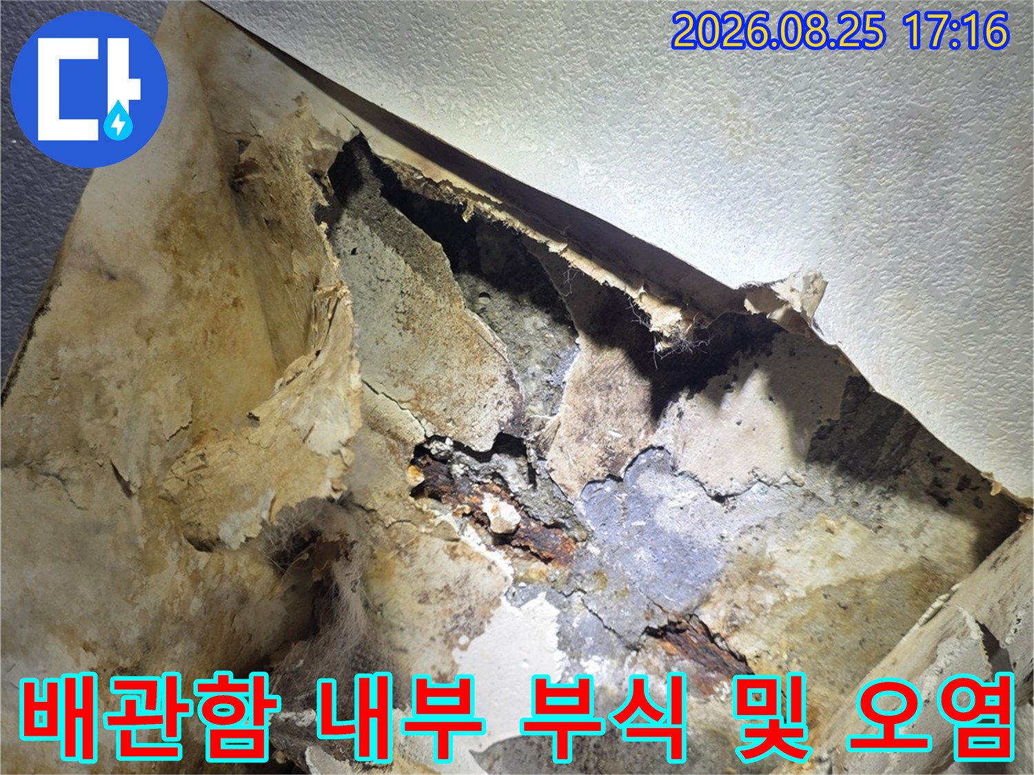 누수로 인해 곰팡이가 발생한 배관함 내부 사진