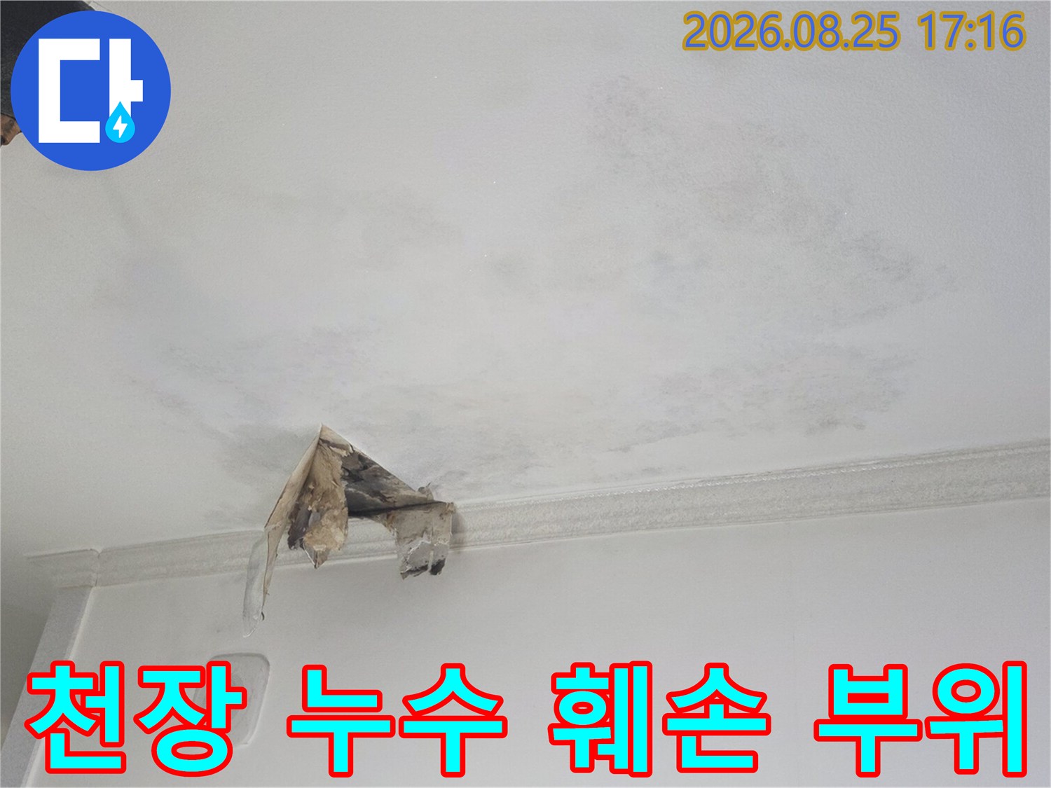 물에 의해 변색되고 찢어진 천장 마감재의 모습