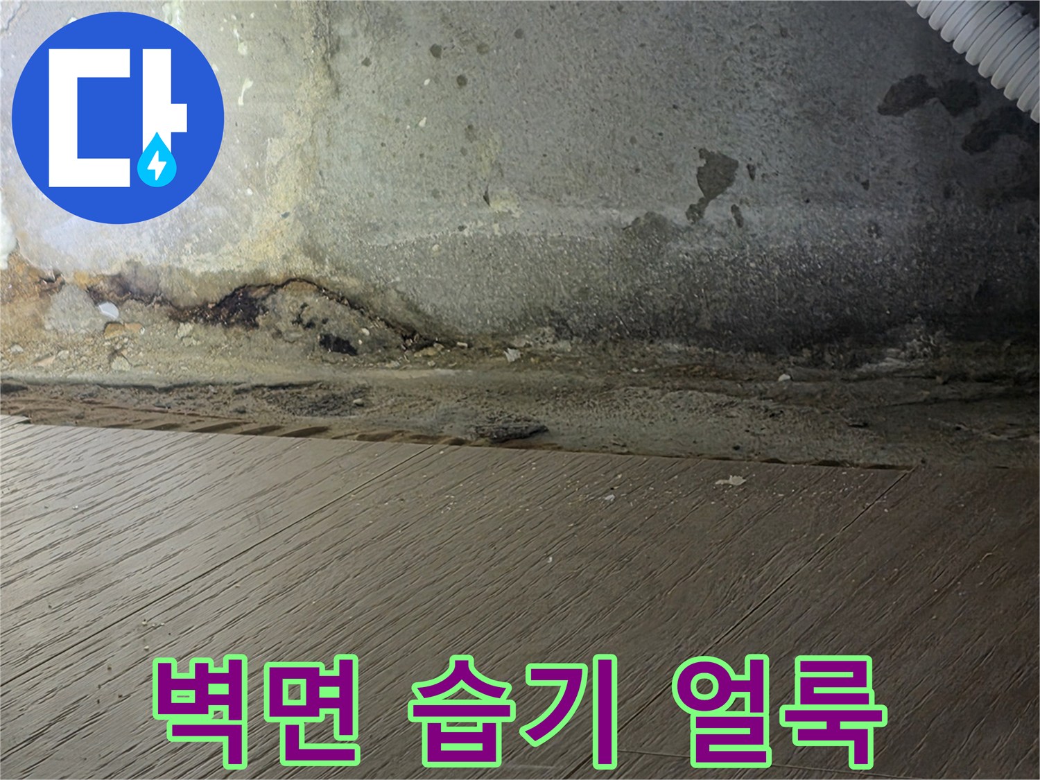 하안동-현장-벽체-하단부-습윤-상태