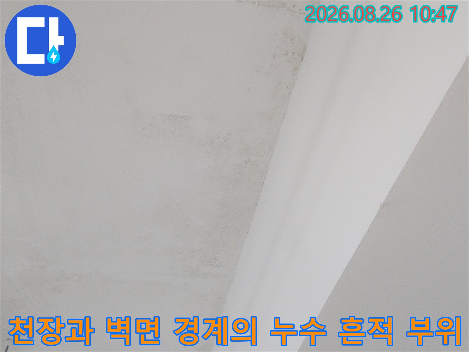 상가 천장 몰딩 하단의 물자국 및 변색 현장