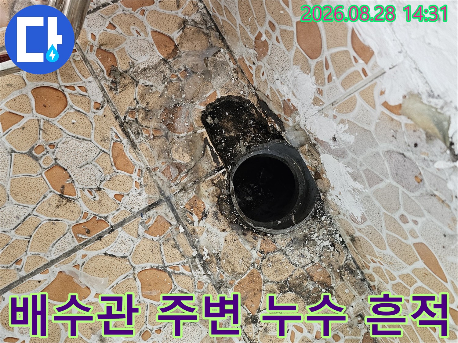 누수 점검 현장 - 습기와 곰팡이로 오염된 배수관 입구 부위