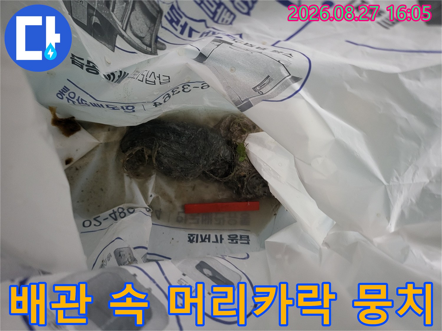 배수 배관 속에 퇴적된 머리카락과 오물 더미