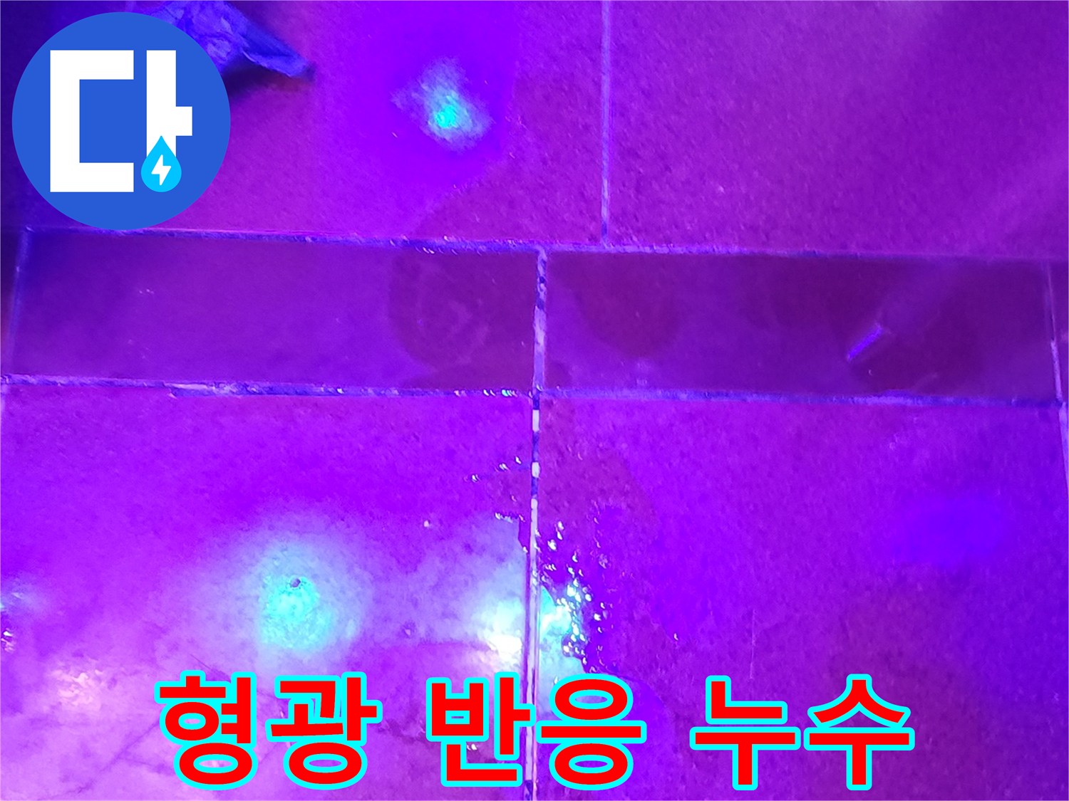UV램프 조사-타일 사이로 스며든 누수 흔적