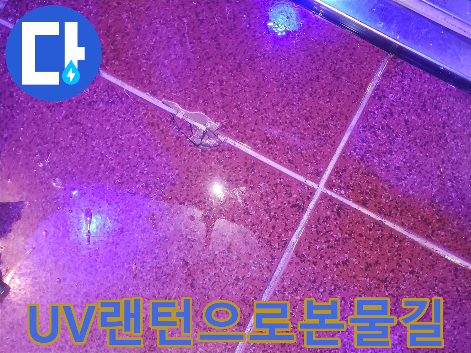 자외선-랜턴을-활용한-누수-경로-확인