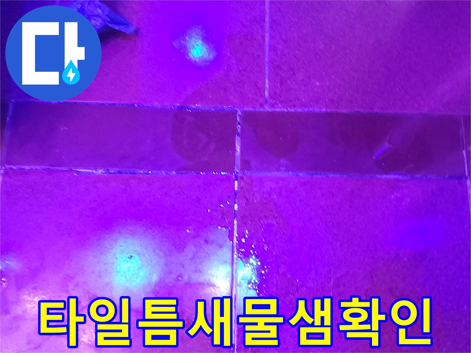 자외선-조사-시-푸르게-반응하는-타일-줄눈-부위