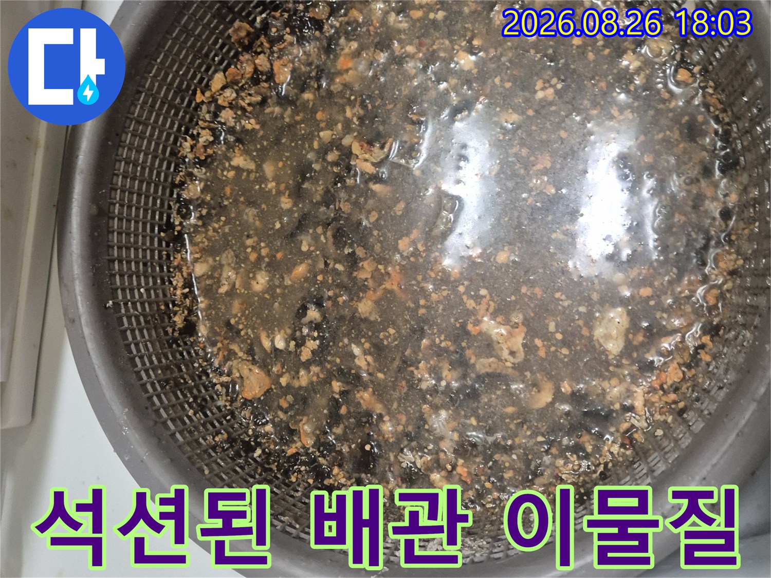 싱크대 배관에서 뽑아낸 기름 덩어리와 오물 잔해