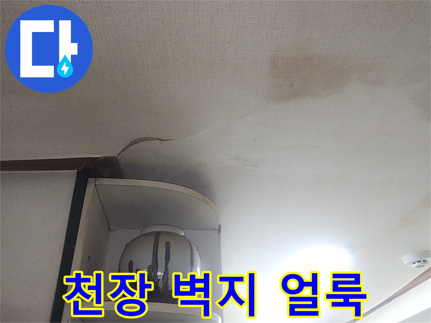 성북구 현장-벽지 오염 및 곰팡이 상태