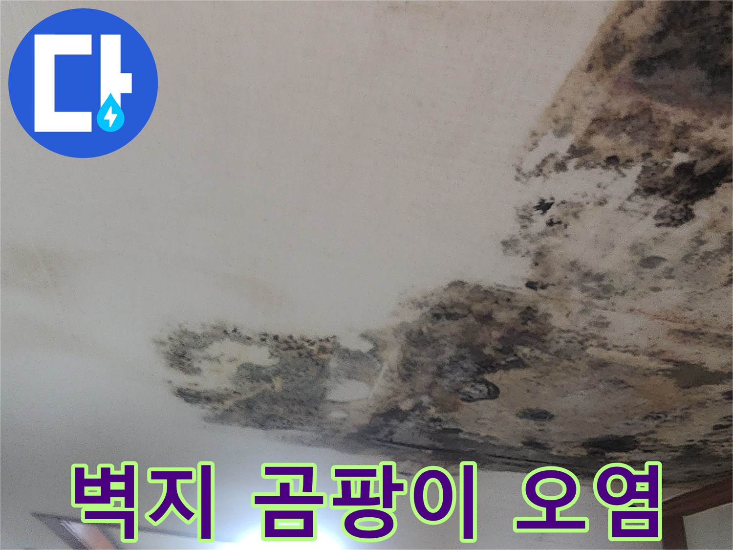 습기로 인해 검게 변한 천장 벽지의 오염 상태