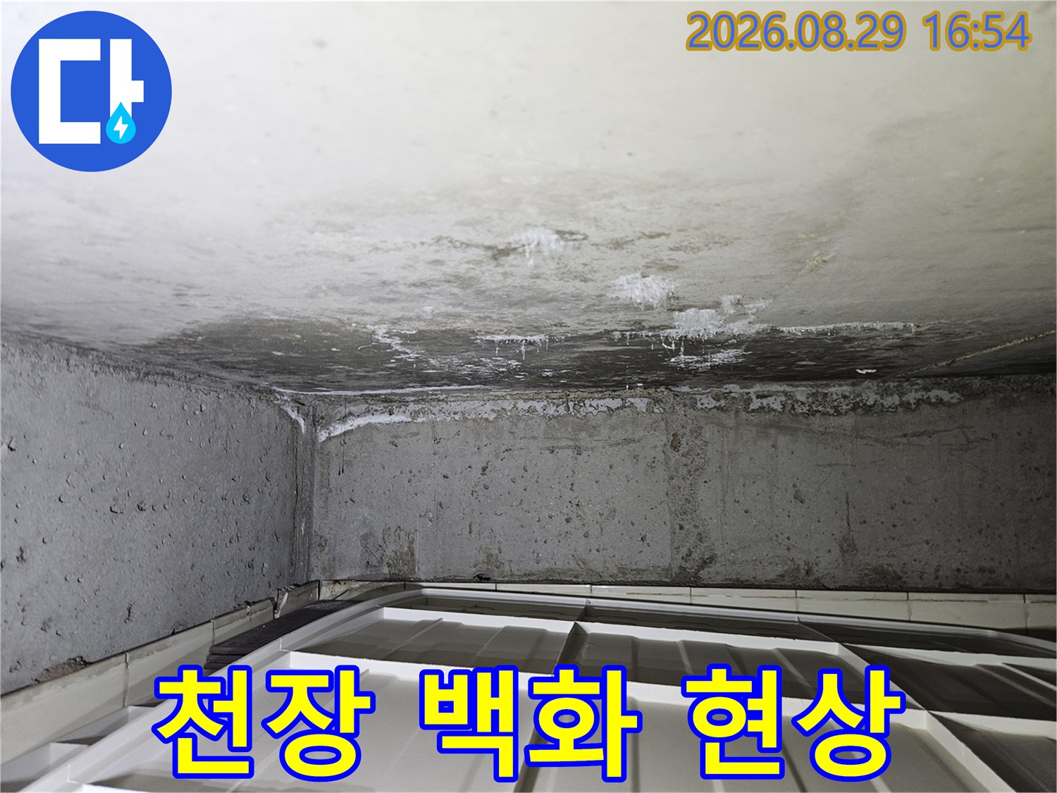 누수로 인해 천장에 발생한 하얀색 석회 자국