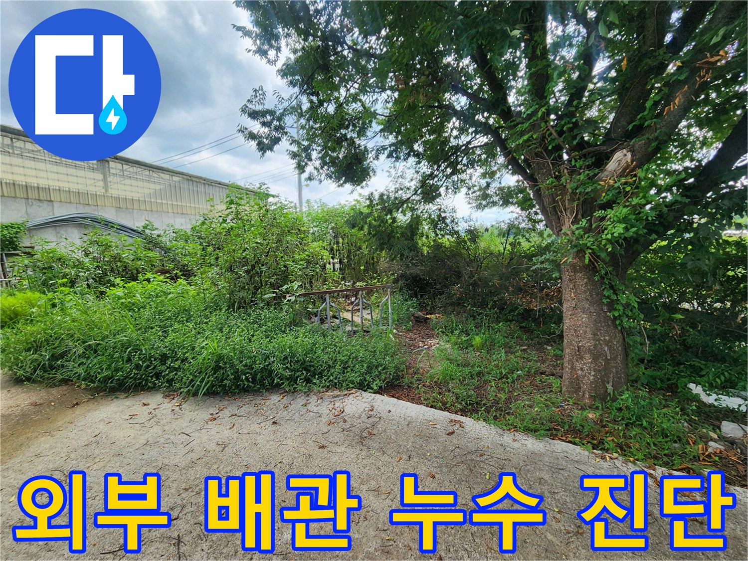 목장 야외 현장-배관 주변 정밀 탐색 중
