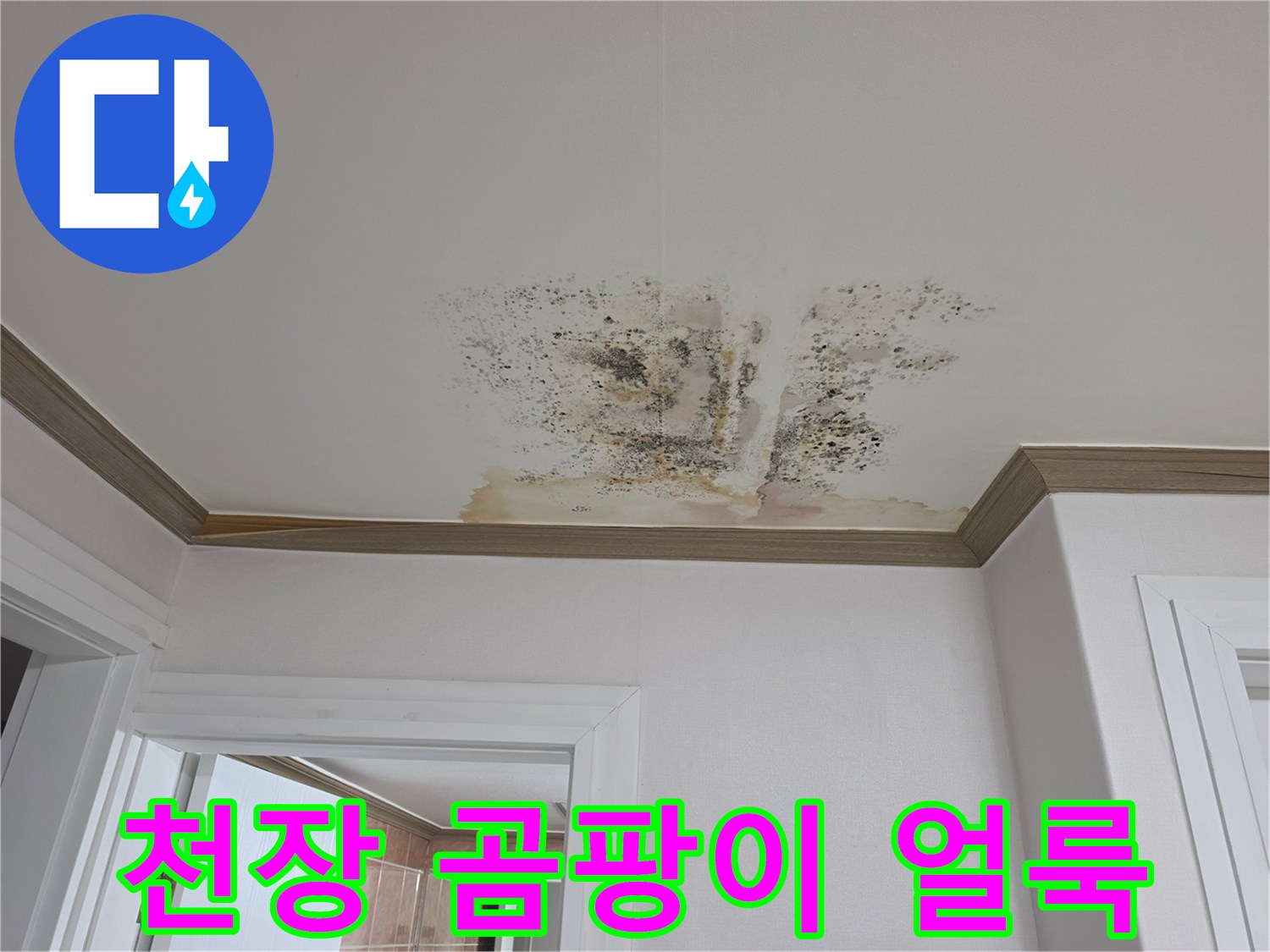 금산읍-아파트-안방-천장-곰팡이-및-물자국-상태