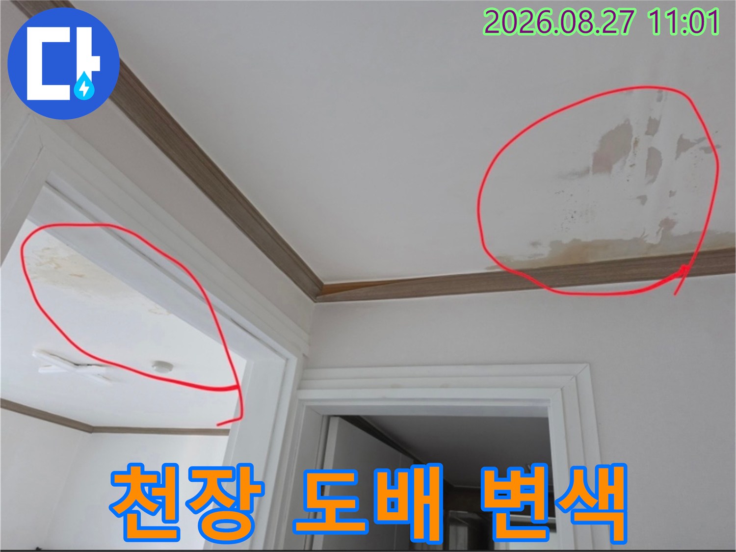 금산읍 아파트-천장 몰딩 쪽의 물자국 및 오염