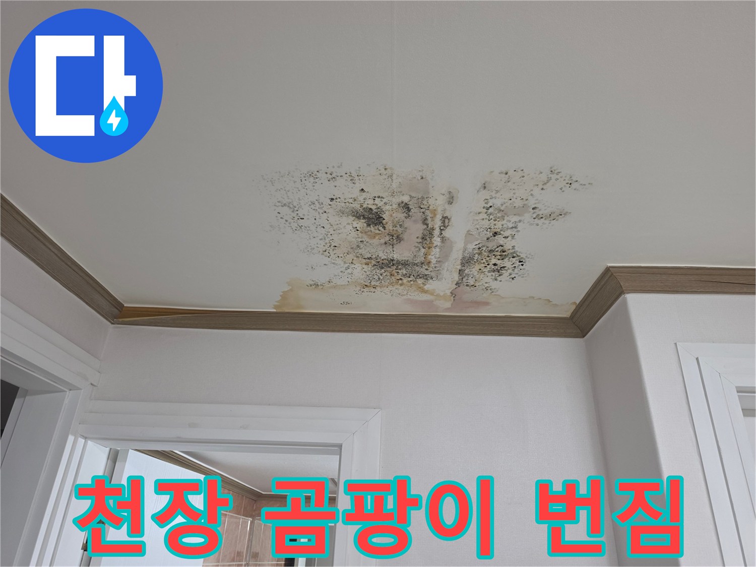 습기로 인해 변색되고 곰팡이가 발생한 천장 마감재