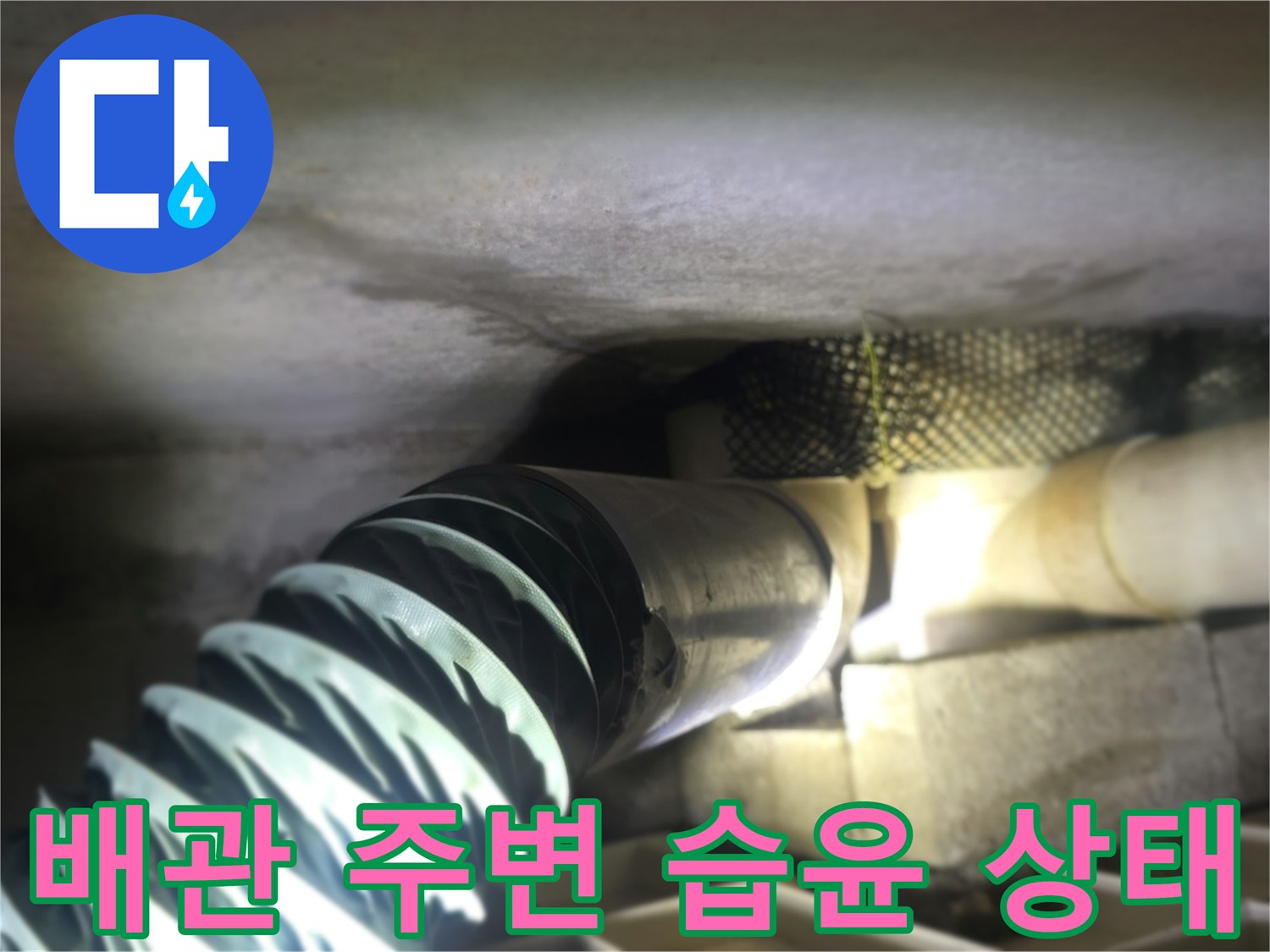 빌라-천장-배관-주변-축축한-습기-상태