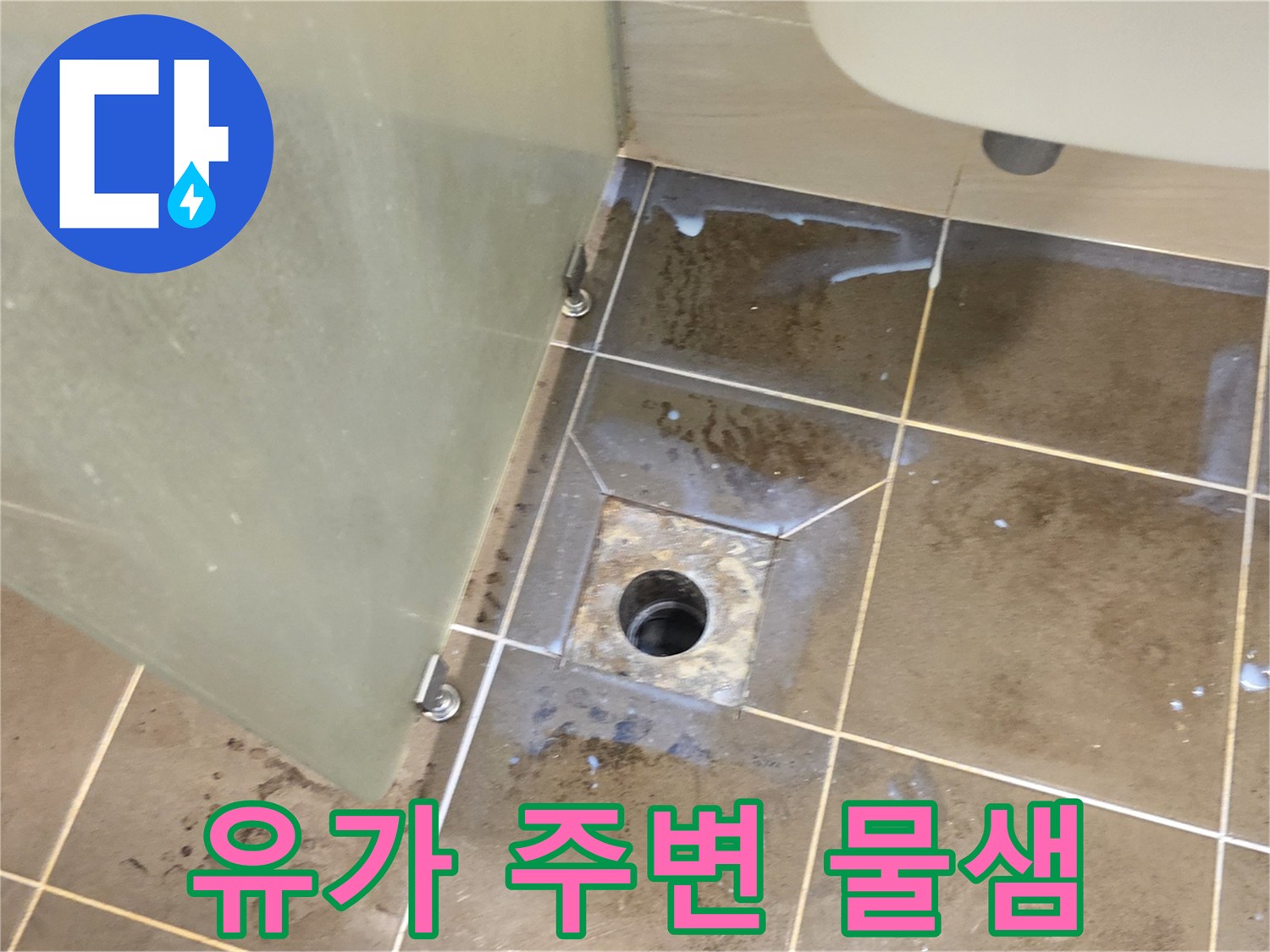 배수구-주변-타일-메지의-습윤한-상태