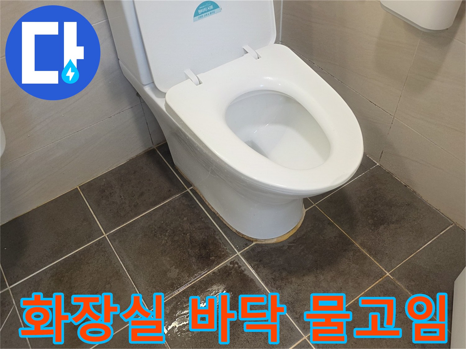 변기-하단-타일-틈새로-스며든-물기