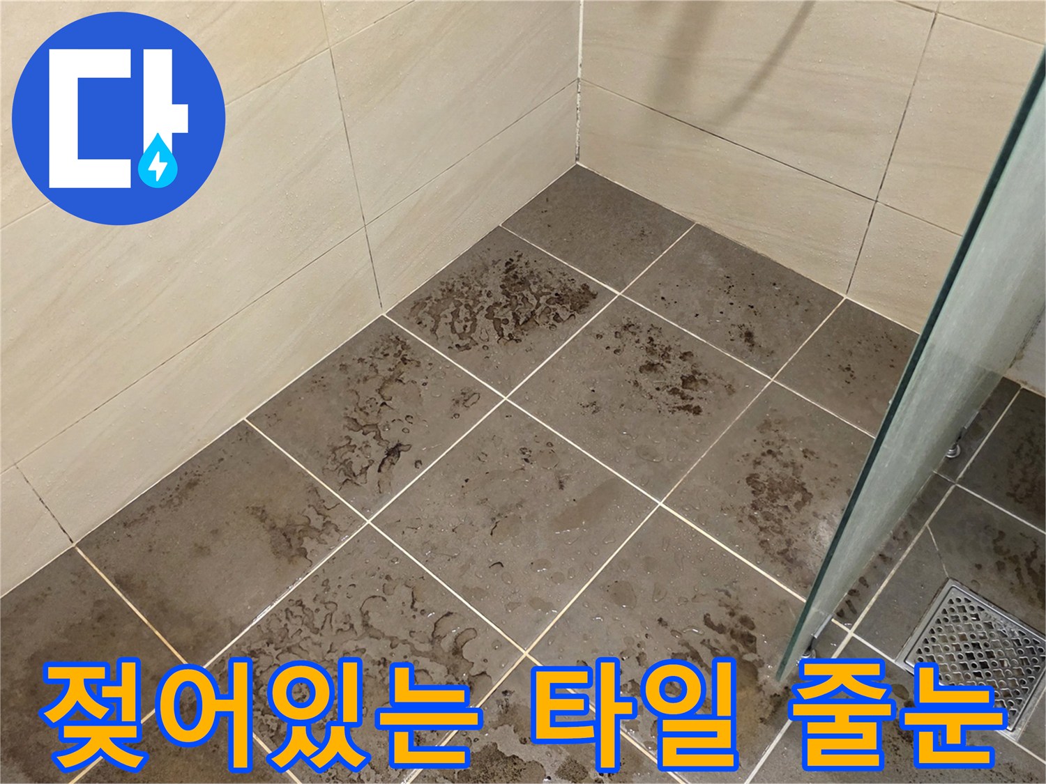 습기를 머금은-욕실 바닥 타일 틈새 사진