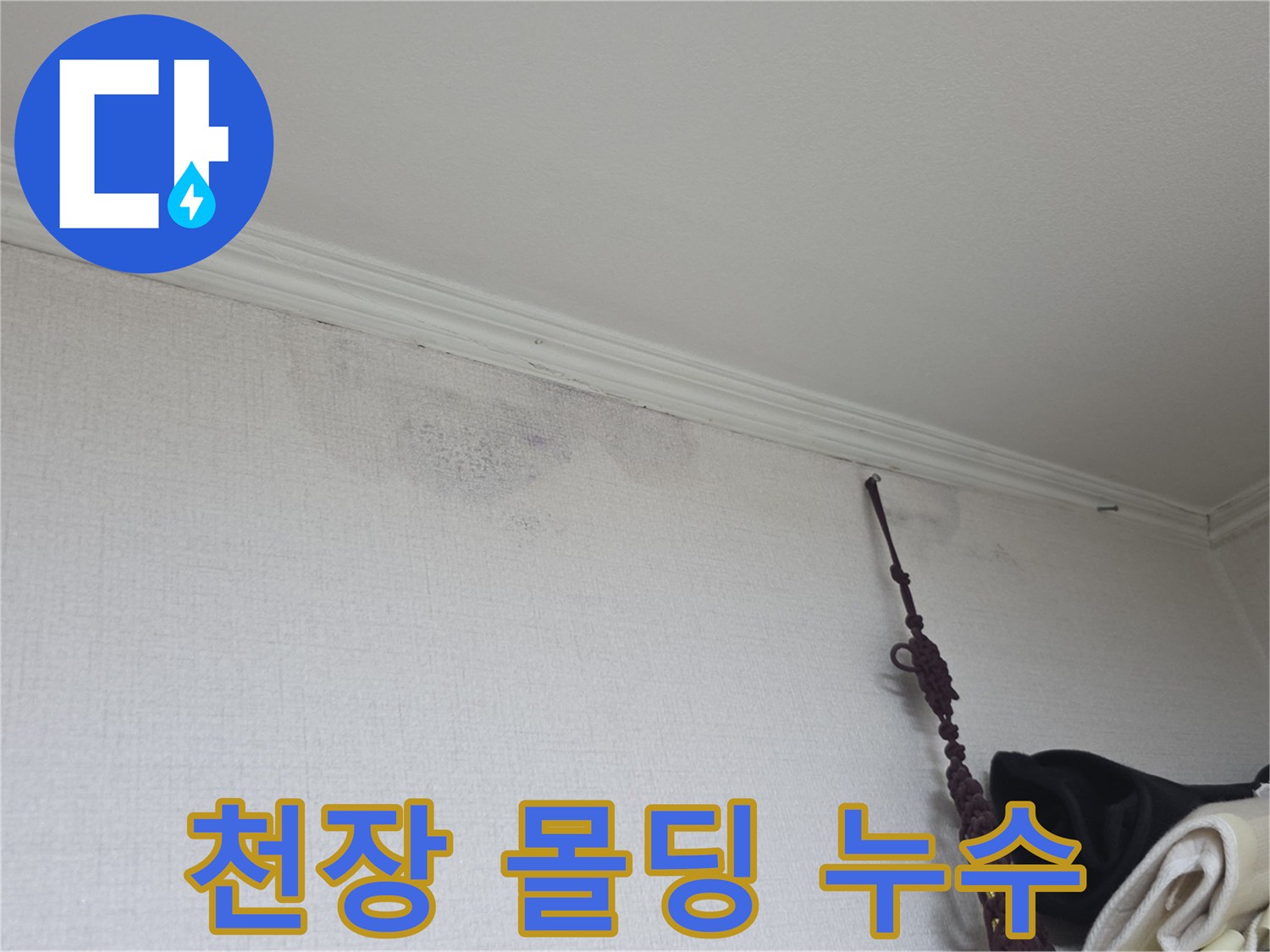 암사동 현장-천장 몰딩 주변의 습기 및 변색 부위