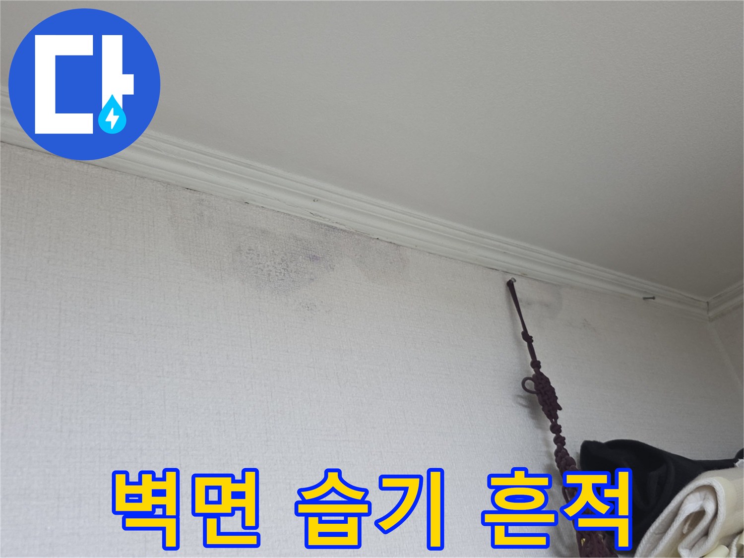 천장 몰딩 아래 벽지가 젖어 변색된 모습
