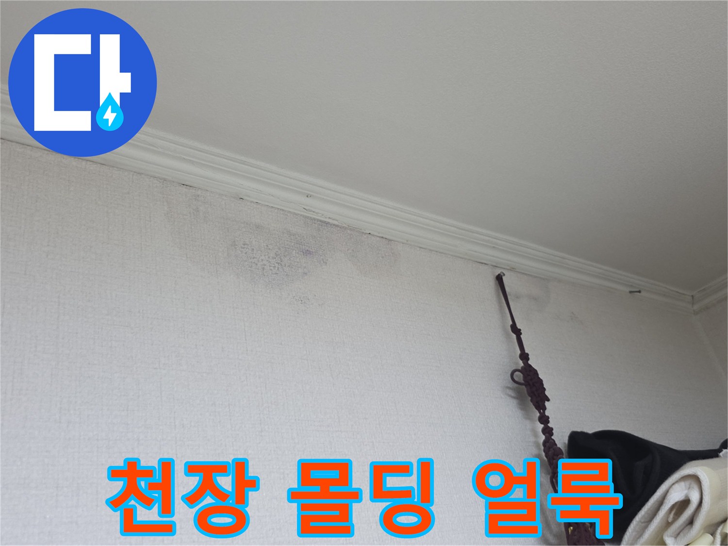 천장 몰딩 아래쪽의 젖은 벽지 변색 부위