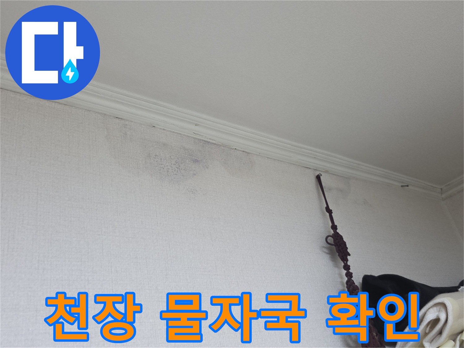 천장 몰딩 주변의 젖은 벽지 변색 상태