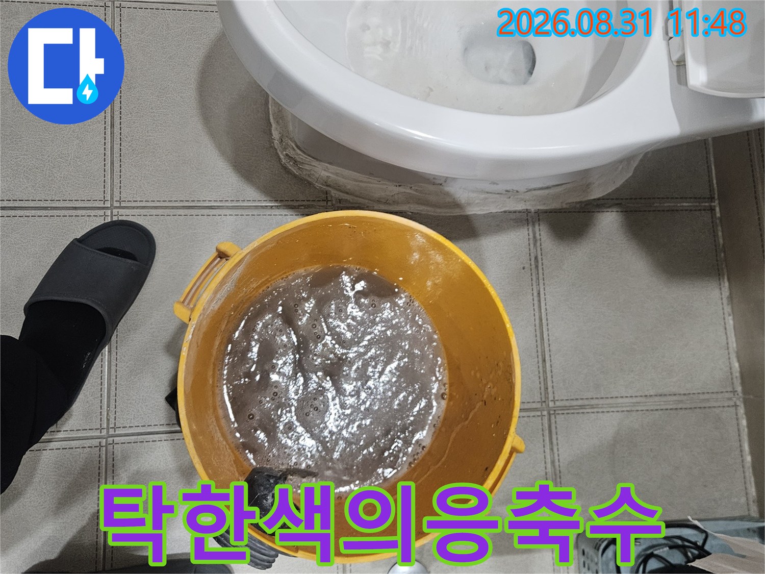 노란양동이-안의-더러운물