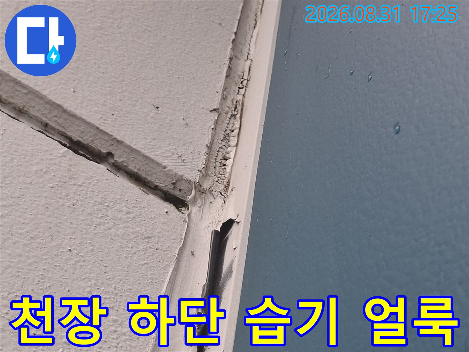 파란색-도장-천장의-물자국과-흰색-벽면-얼룩
