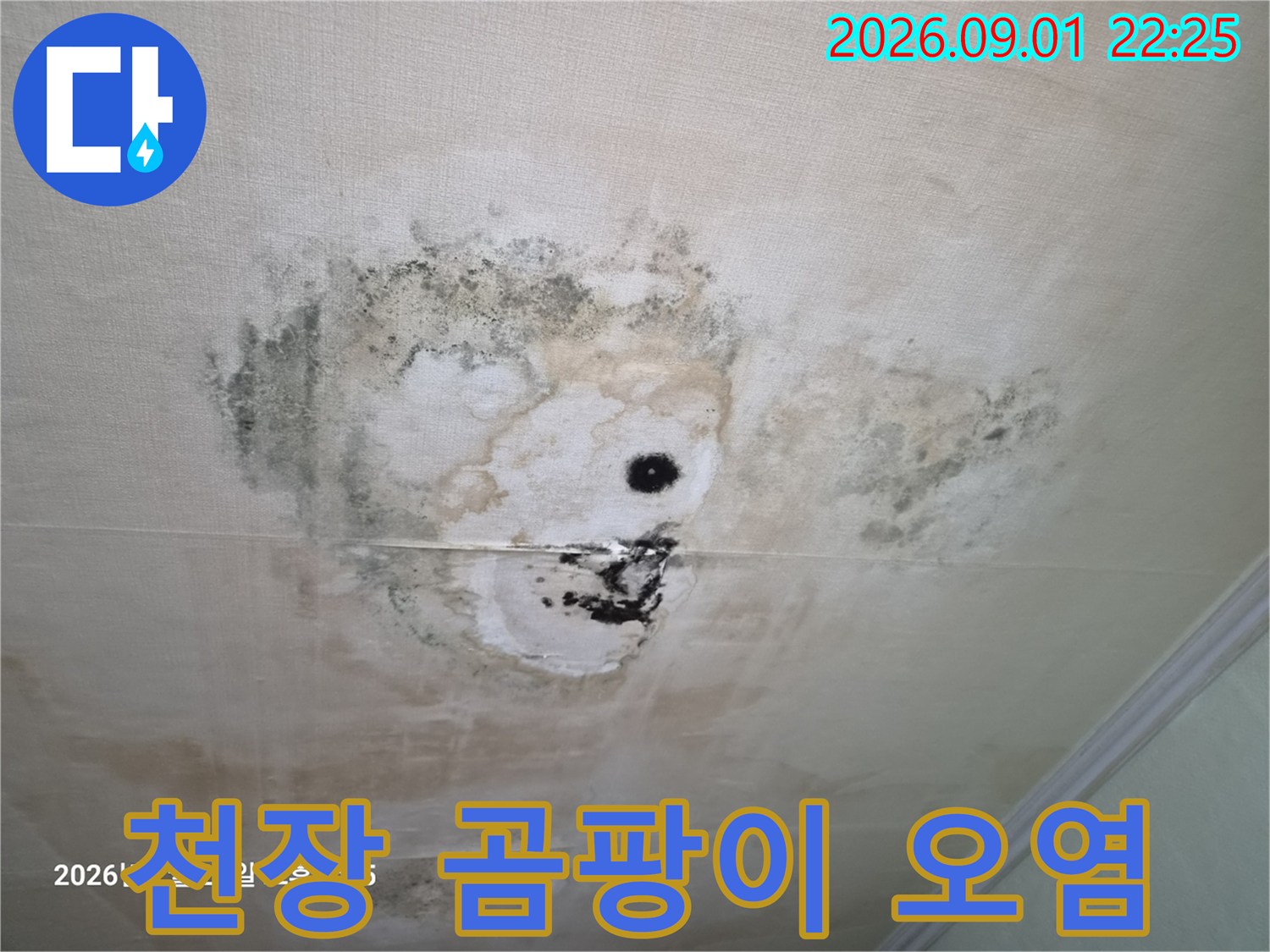 물에 젖어 변색되고 곰팡이가 생긴 거실 천장
