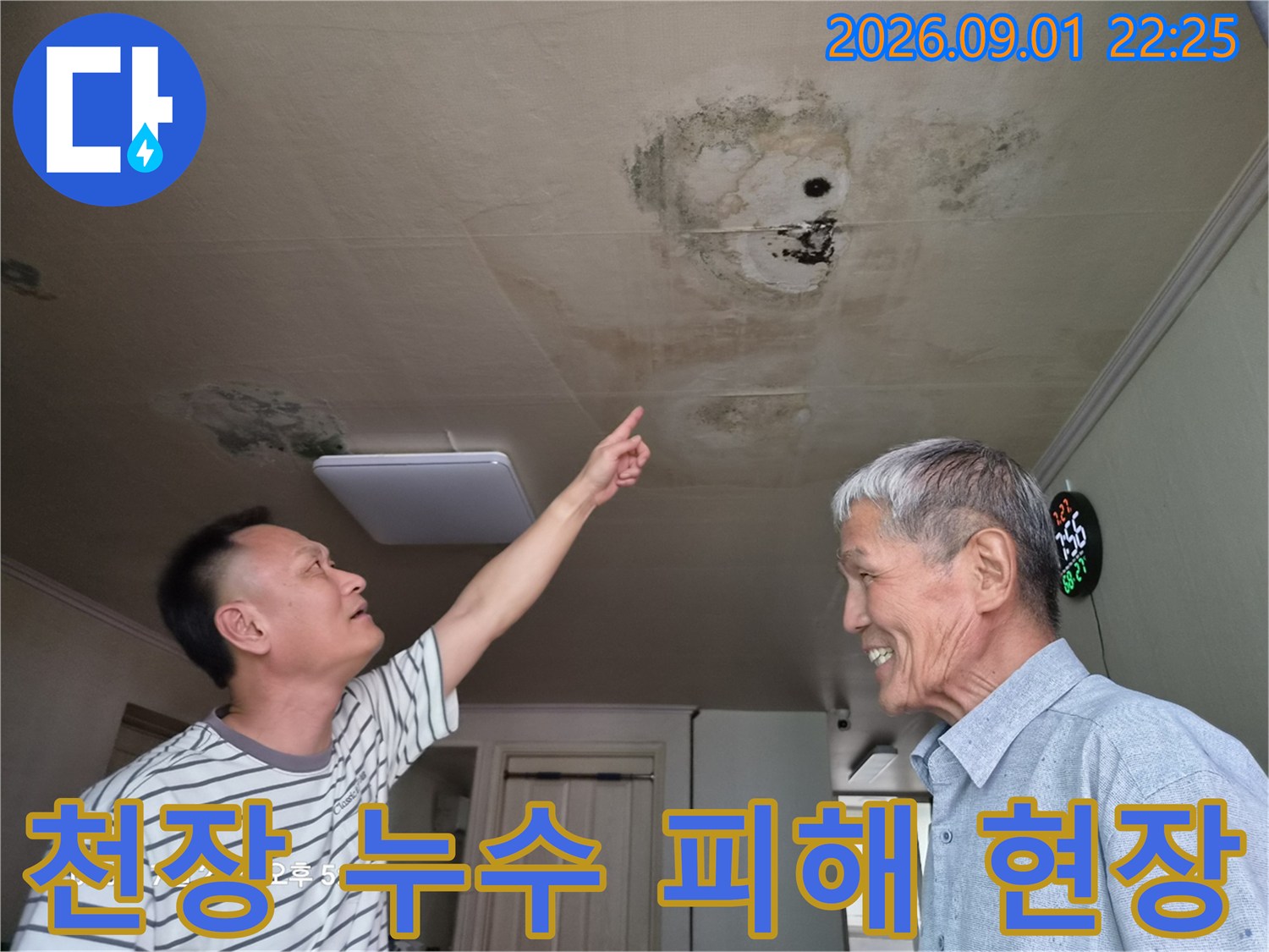 천장 마감재에 나타난 심한 곰팡이와 습기 얼룩 부위
