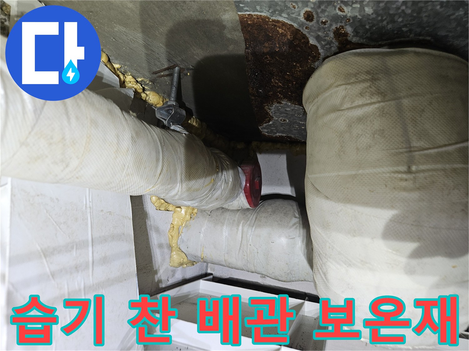축축하게-젖어있는-배관-보온재