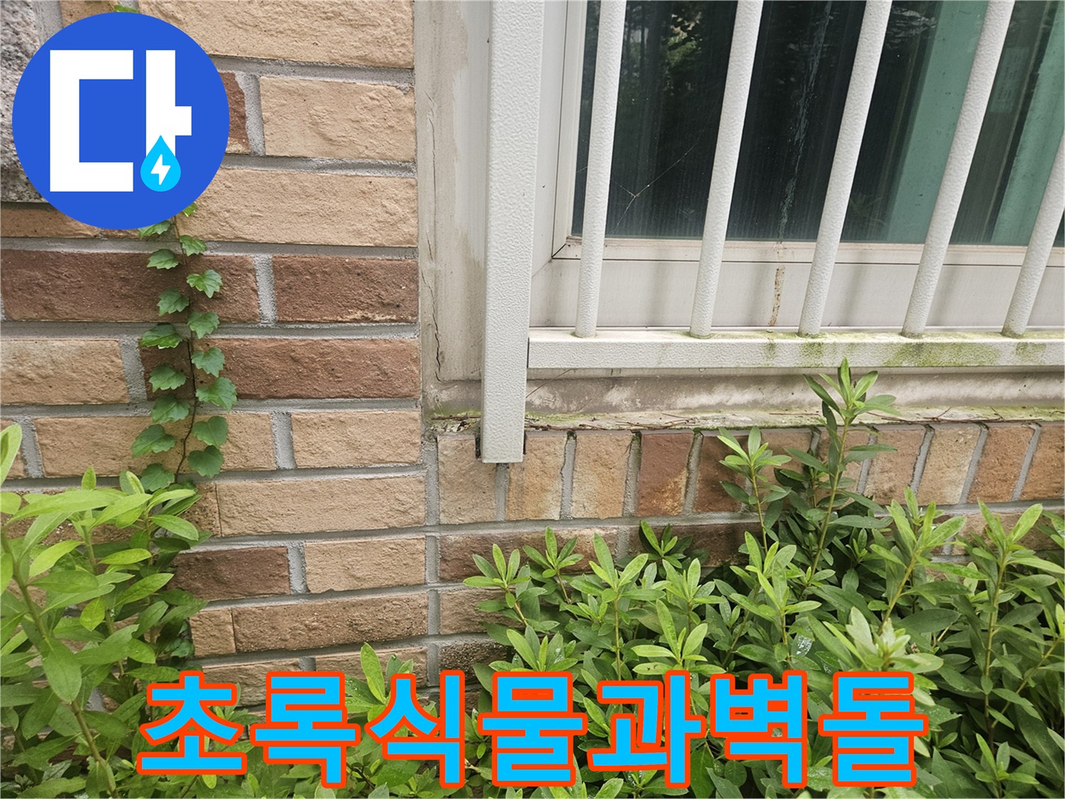 적갈색 벽돌 구조물과 푸른 잎의 조화