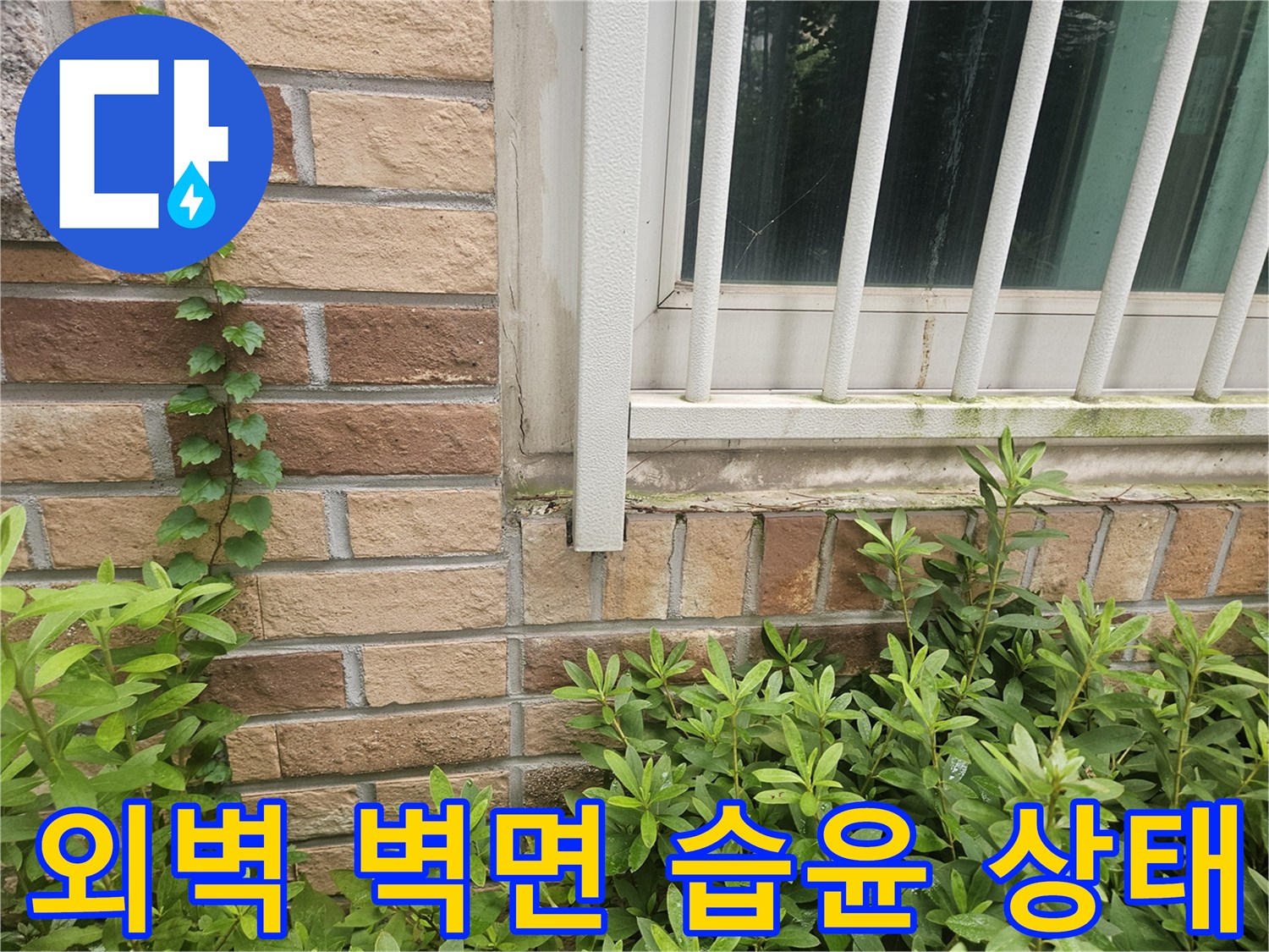 창틀 근처 벽돌 부위의 젖은 흔적