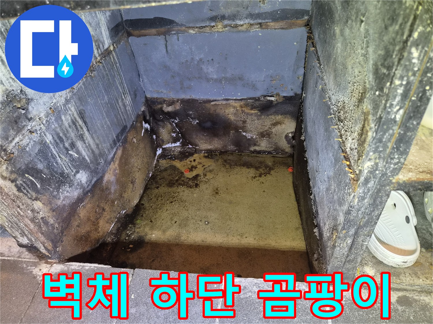 가벽-하단부의-심한-곰팡이와-습기-침투-흔적
