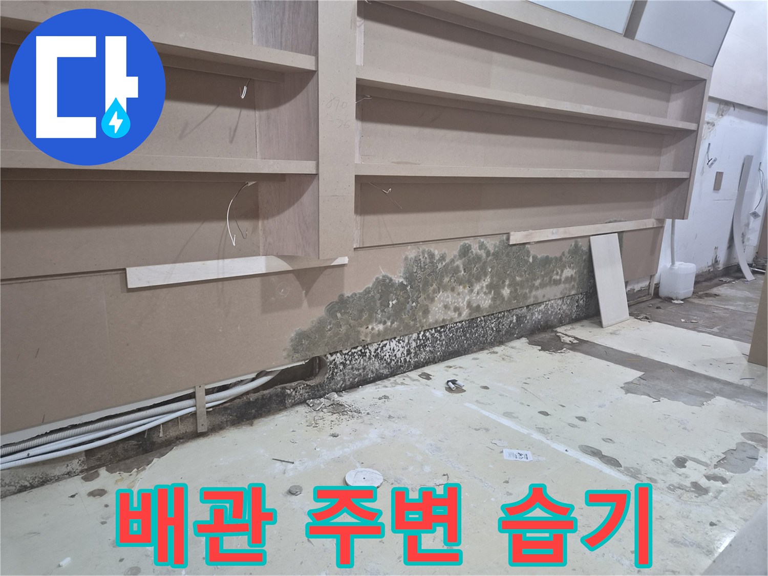 바닥 배관 주위로 번진 곰팡이와 물자국