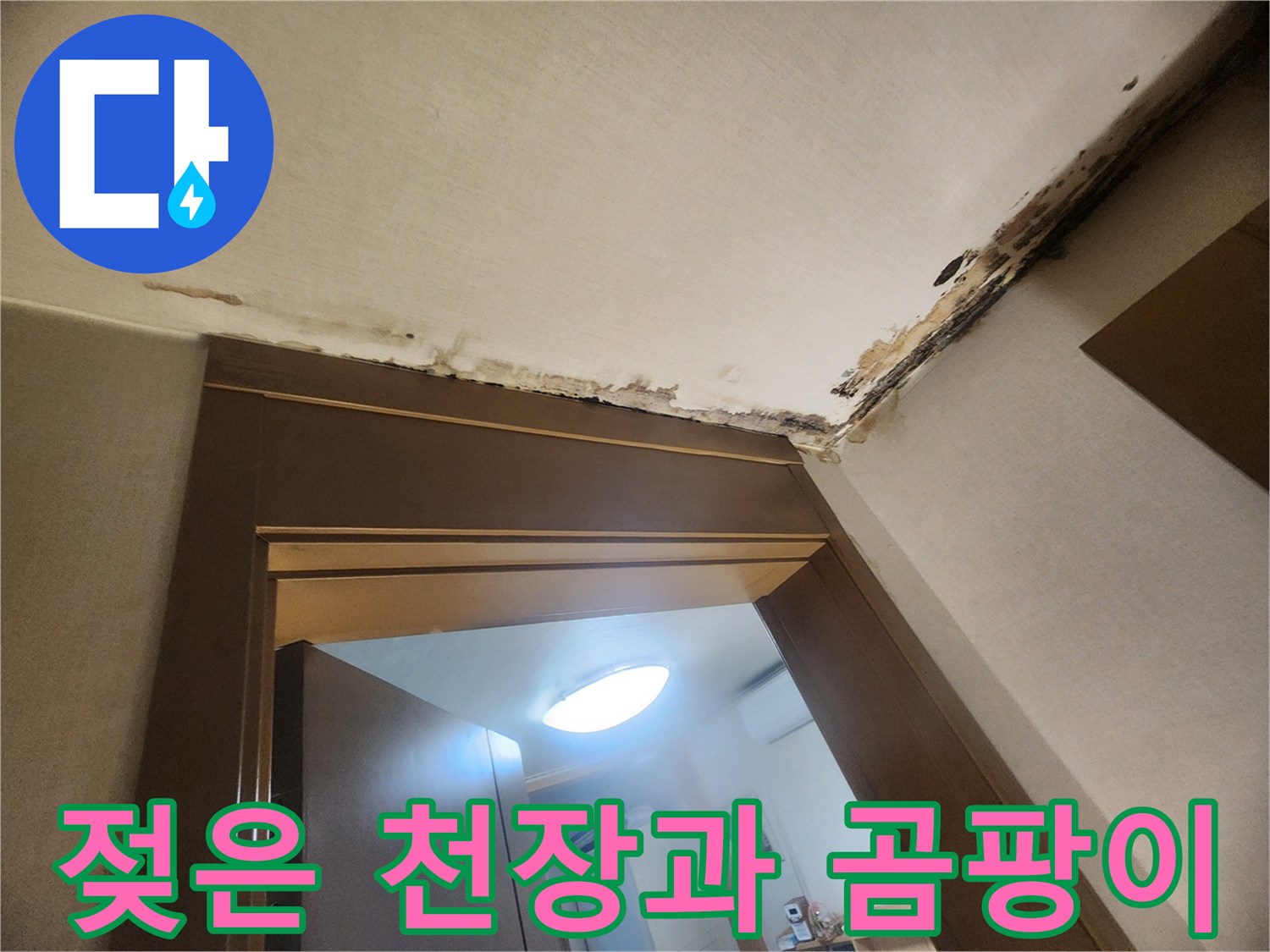 천장 모서리에 발생한 곰팡이와 얼룩 흔적