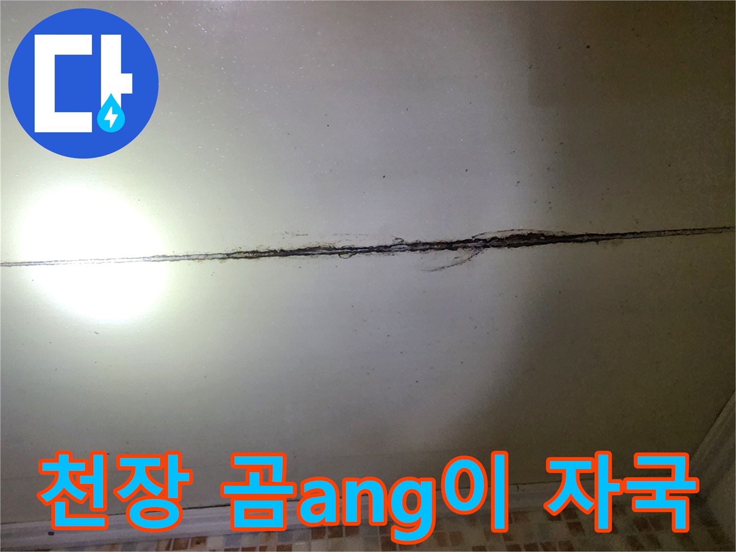 천장-이음새-부근의-검은색-곰팡이-발생