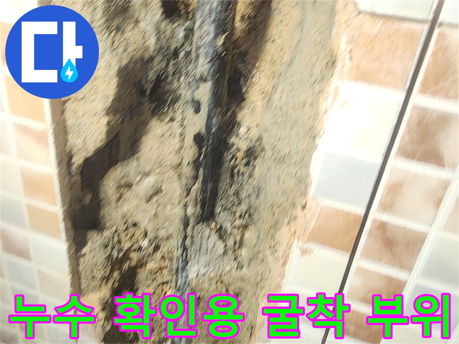 타일-제거-후-드러난-젖은-배관-구간