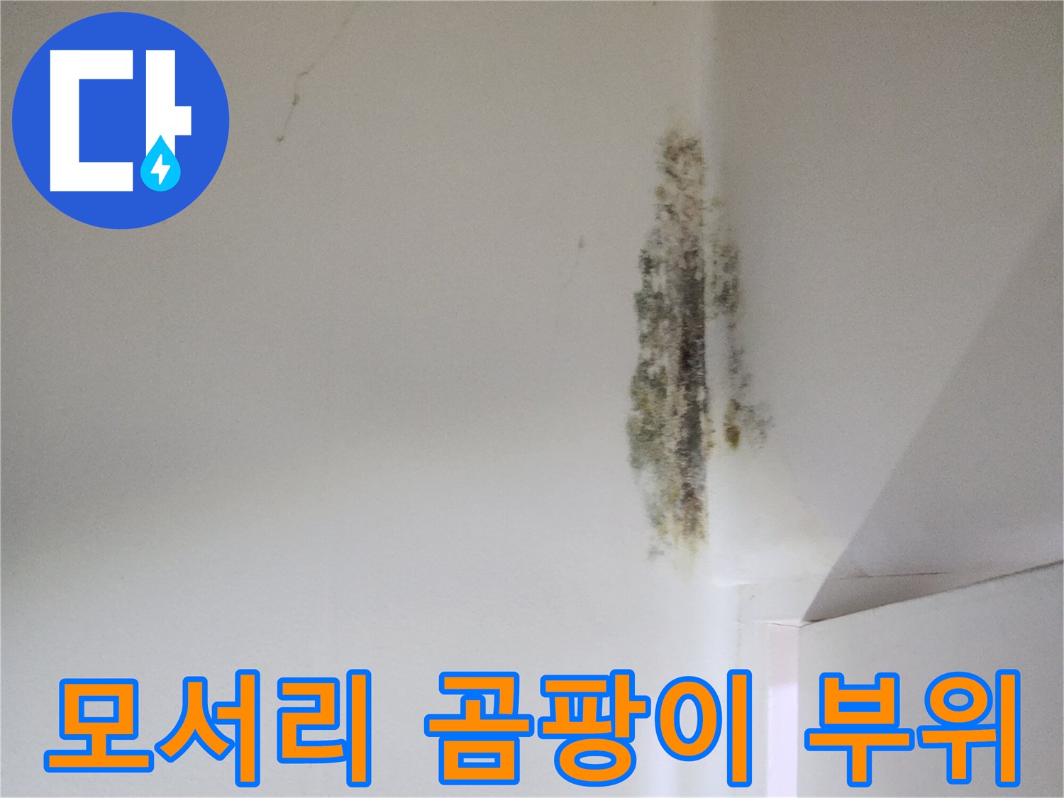 천장-및-벽면-연결부-누수-흔적