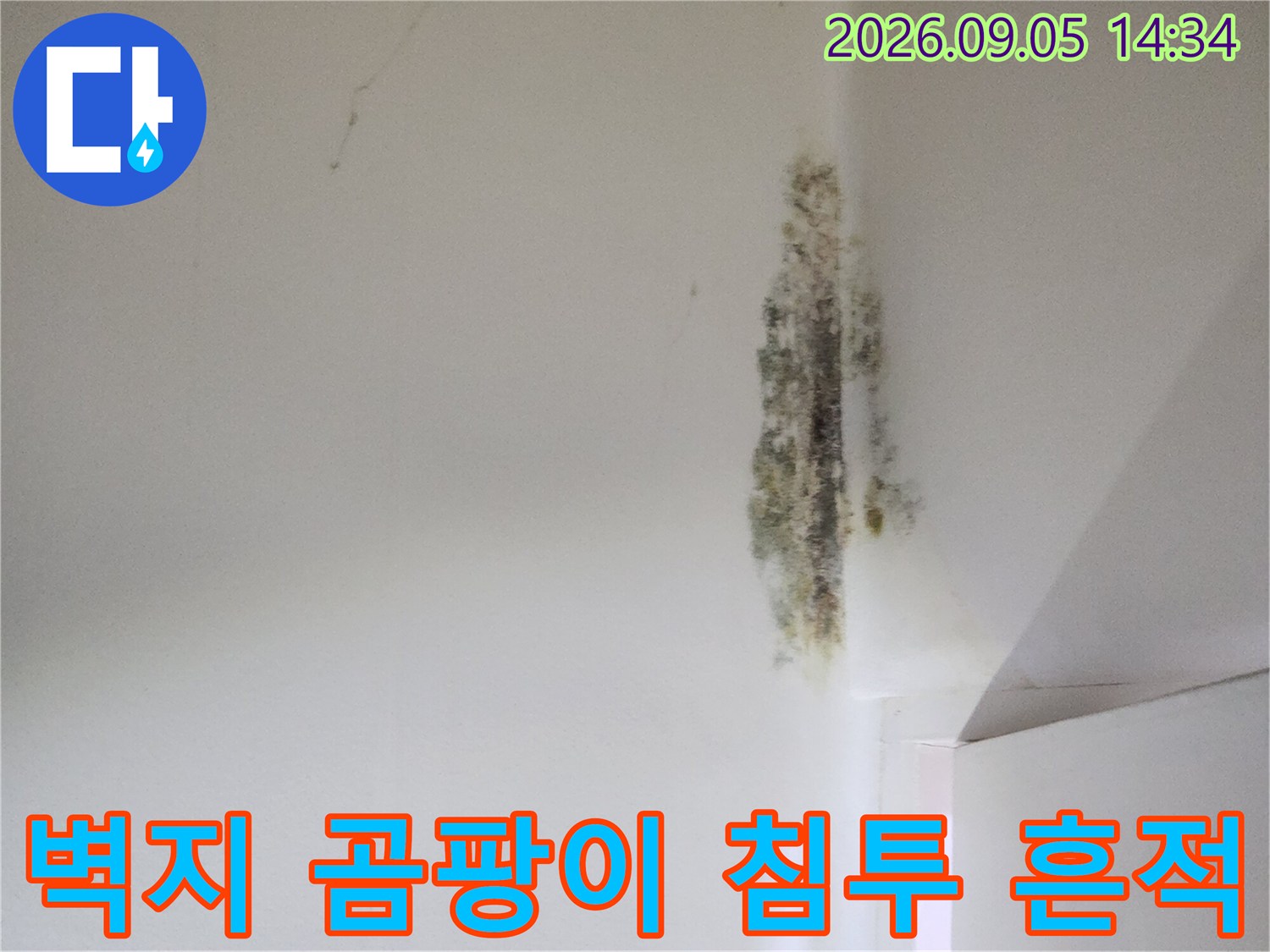 천장과 벽이 만나는 지점의 심한 곰팡이 오염